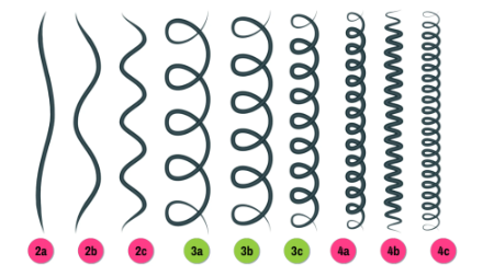 Imagen para la categoría CABELLO